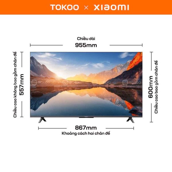 Tivi Xiaomi A 43 FHD 2025 (Giá đã bao gồm thuế giá trị gia tăng và gói dịch vụ 2 năm bảo hành)