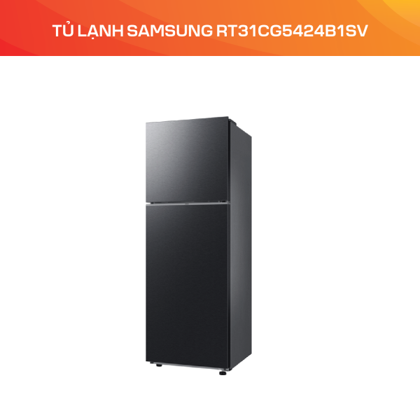 Tủ lạnh Samsung 305L RT31CG5424B1SV