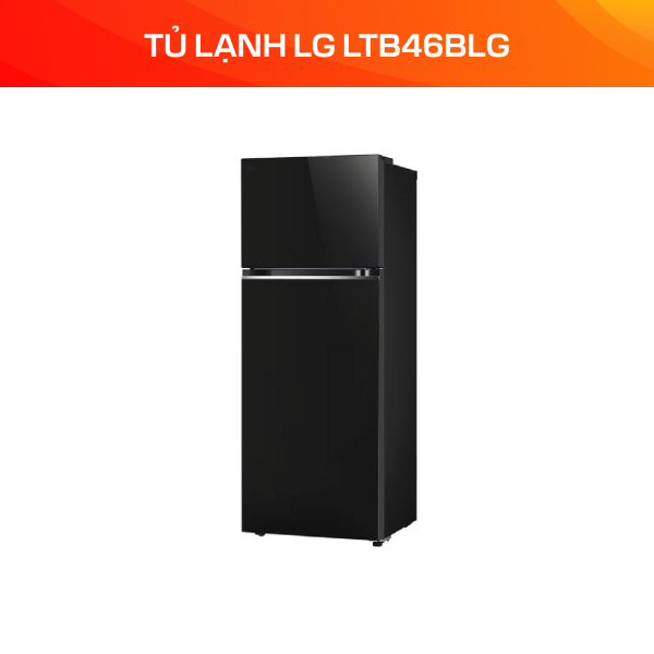 Tủ lạnh LG Inverter 461 lít LTB46BLG