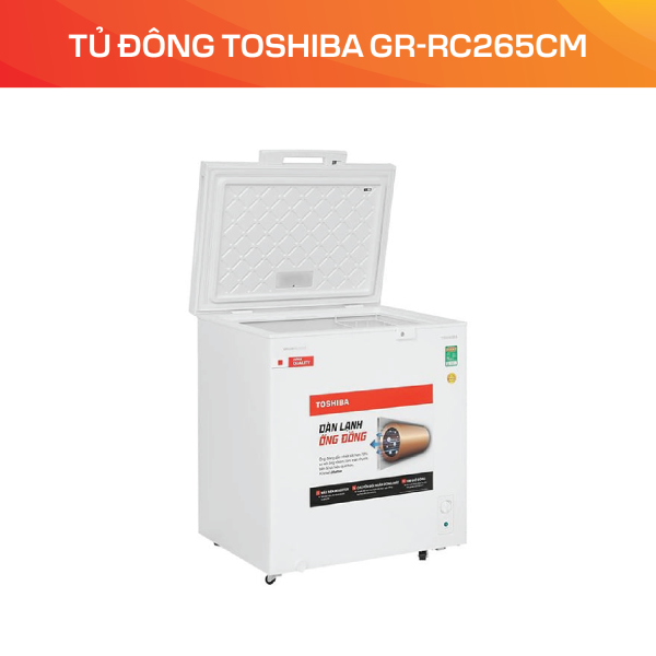 Tủ đông Toshiba GR-RC265CM