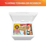 Tủ đông Toshiba GR-RC265CM