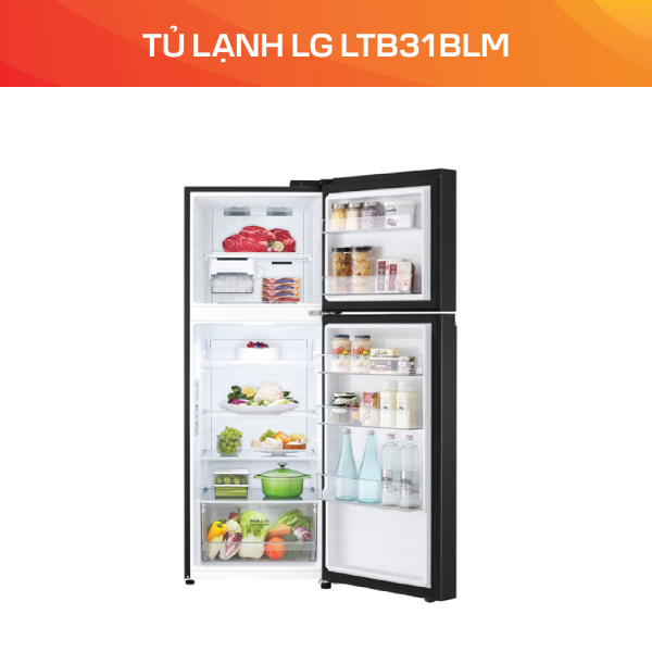 Tủ lạnh LG 315L LTB31BLM