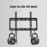 Giá Treo Tivi Phẳng Sát Tường DK75 55-75 inch